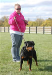 rottweiler females 12-18 month: 0030 Podratzs Seager Vom Hause G Rated