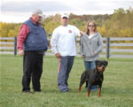 rottweiler females 12-18 month: 0120 Chandra Des Gladiateurs De Rottweil V1-rated