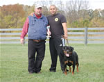 rottweiler females 12-18 month: 0126 Jetta Von Der Rod V2-rated