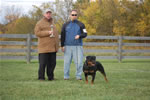 rottweilers females 18-24 months: 0184 Oxxi Vom PrinceHaus V3-rated