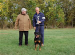 Rottweiler Puppies 6-9 month females: 0415 Havoc Vom Waldbach VP1 Best Female Puppy