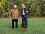 Rottweiler Puppies 6-9 month females: 0416 Havoc Vom Waldbach VP1 Best Female Puppy