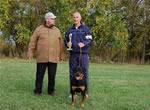 Rottweiler Puppies 6-9 month females: 0417 Havoc Vom Waldbach VP1 Best Female Puppy
