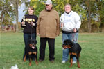 Rottweiler Puppies 6-9 month females: 0420 Windegos Leavin A Trademark Vom Hamblin VP2 And Windegos Patent Pending Vom Hamblin VP3