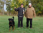 Rottweiler Puppies 6-9 month females: 0423  Face From Royal Breed VP4