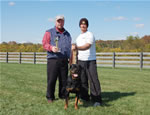 Rottweiler males 12-18 month class: 0154 Axel Vom Keiser Wappen SG3-rated