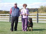 Rottweiler Males 18-24 month class: 0213 Jax Of Harts Von Der Alten Welt V1-rated