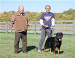 Rottweilers Males Working Class: 0154 Redwood Krests Shane V1-rated