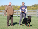 Rottweilers Males Working Class: 0155 Redwood Krests Shane V1-rated