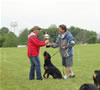 Best Male Puppy: Image