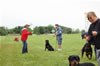 Best Male Puppy: Image