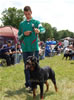 18-24 Females: 0408 TMCs Zelda