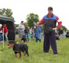 4-6 Females: 0235 Von Haustiers Carley