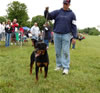 6-9 Females: 0308 Majestics Jasmine