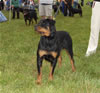 9-12 Females: 0349 Ezra Von Schoenfelden