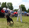 Champion Males: 0141 Qualicumabsolutadamntbryloukis