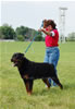 Champion Males: 0144 Djuke Vom Vilstaler Land