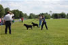 Youth Siegerin: DSC 0026