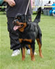 0396 Luthor Von Der Alten Welt DQ