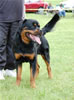 0399  Luthor Von Der Alten Welt DQ