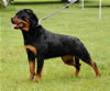 0519 Aska Von Der Spencberg SG1
