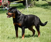 0232 Aspen Von Der BarrHump P3