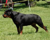 0233 Aspen Von Der BarrHump P3