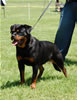 0237 Aspen Von Der BarrHump P3