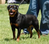 0238 Aspen Von Der BarrHump P3