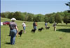 0276 9-12mth Females