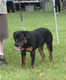 6-9 MALES: 200 0958