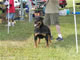 CHAMPION FEMALES: 2100 2200