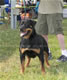 CHAMPION FEMALES: 2100kat 060307 2