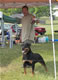 CHAMPION FEMALES: 2100wayne And Kat