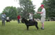 CHAMPION MALE: 2100 2007