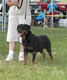 SIEGERIN CLASS: 200 2233