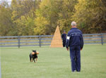 Chuck Wilson: 0139 Chase Vom Waldbach