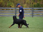 John Bernard: 0172 Eddy Vom Hammerbachtal