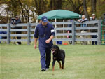 John Bernard: 0180 Eddy Vom Hammerbachtal