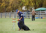 John Bernard: 0182 Eddy Vom Hammerbachtal
