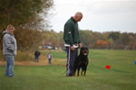 Chuck Wilson: 0084 Chubaka Vom Waldbach