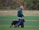 Chuck Wilson: 0105 Chubaka Vom Waldbach