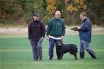 Chuck Wilson: 0110 Chubaka Vom Waldbach