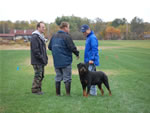 John Bernard: 0173 Eddy Vom Hammerbachtal