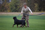 Sharon Poteet: 0080 Redwood Krests Omora