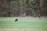 Skip Morgart: 0054 Redwood Krests Shane